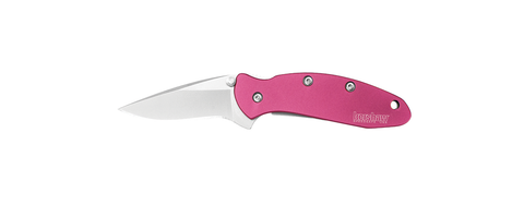 Kershaw Chive Assisted Opening Knife Pink (1.94" Bead Blast) 1600PINK