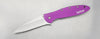 Kershaw Leek Purple Spring Assisted Knife (3" Bead Blast Plain) 1660PUR - GearBarrel.com