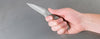 Kershaw Leek Spring Assisted Knife (3" Bead Blast Plain) 1660 - GearBarrel.com